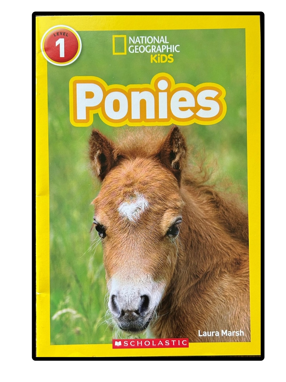 BUNDLE & SAVE🎉 National Geographic Ponies Book